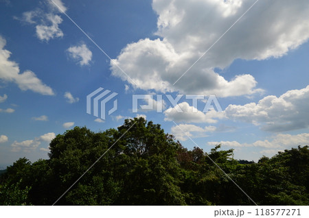 夏の御岳山　青梅市 118577271