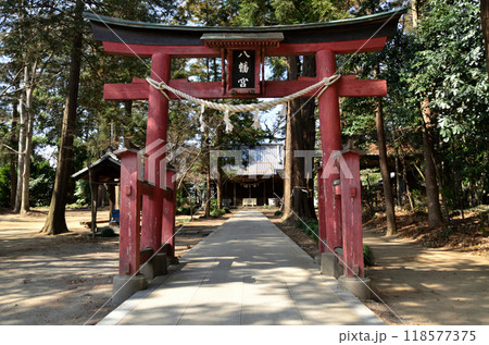 埼玉県深谷市上野台に鎮座する八幡神社 埼玉県深谷市上野台に鎮座する八幡神社 118577375