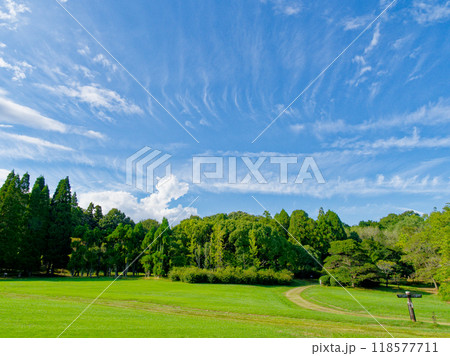 愛知県森林公園の秋空 118577711