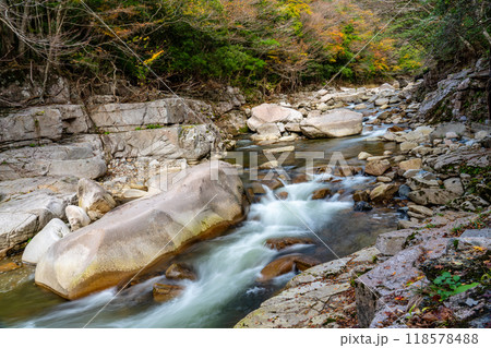 奥津渓の秋 紅葉の渓谷15 岡山県苫田郡鏡野町 奥津渓の秋 紅葉の渓谷15 岡山県苫田郡鏡野町 118578488
