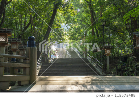三輪明神　大神神社　参道　御手洗橋 118578499