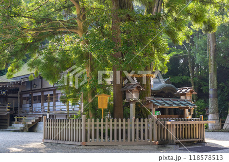 三輪明神 大神神社 巳の神杉 三輪明神 大神神社 巳の神杉 118578513