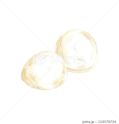 Hand drawn watercolor mozzarella balls isolated on white background. Can be used for postcard, label, scrapbook and other printed products. 118578734