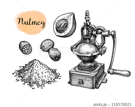 Nutmeg and spice grinder Nutmeg and spice grinder 118578821