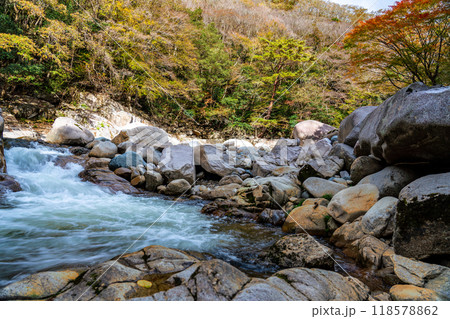 奥津渓の秋 渓谷の流れと紅葉6 岡山県苫田郡鏡野町 奥津渓の秋 渓谷の流れと紅葉6 岡山県苫田郡鏡野町 118578862