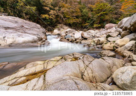 奥津渓の秋 　渓谷の流れと紅葉7　岡山県苫田郡鏡野町 118578865