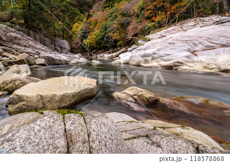 奥津渓の秋 　渓谷の流れと紅葉10　岡山県苫田郡鏡野町 118578868