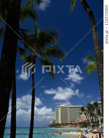 ハワイ ワイキキ ハワイ ワイキキ 118578905