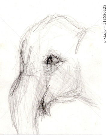 鉛筆の手描きの象 118580128