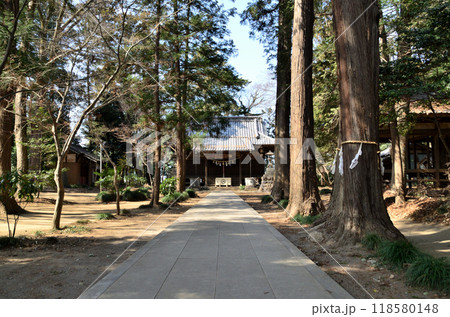埼玉県深谷市上野台に鎮座する八幡神社 118580148