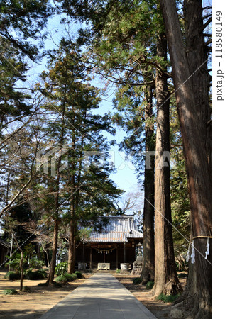埼玉県深谷市上野台に鎮座する八幡神社 118580149