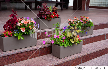 Colorful flower pots on outdoor steps enhancing patio decor. Colorful flower pots on outdoor steps enhancing patio decor. 118581791