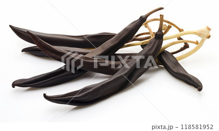 Fresh vanilla pods isolated with clipping path 118581952
