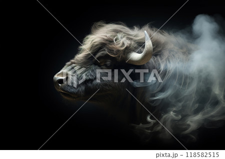 High-resolution black and white close-up of a chameleon, showcasing detailed scales and textures. Perfect for wildlife, reptiles, and nature photography projects. High-resolution black and white close-up of a chameleon, showcasing detailed scales and textures. Perfect for wildlife, reptiles, and nature photography projects. 118582515