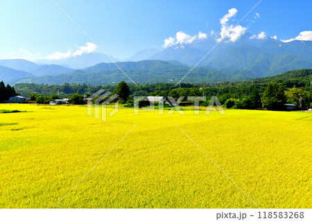 長坂町より鳳凰三山方面を望む(山梨県北杜市)【2024.9】 118583268