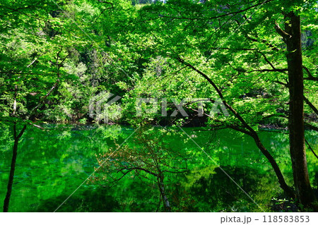 龍ヶ窪(新潟県) 龍ヶ窪(新潟県) 118583853