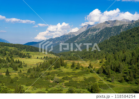 Expansive Alpine Valley with Forested Hills and Distant Mountains 118584254
