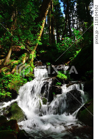 見玉不動尊(新潟県) 見玉不動尊(新潟県) 118584562