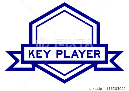 Vintage blue color hexagon label banner with word key player on white background Vintage blue color hexagon label banner with word key player on white background 118585022