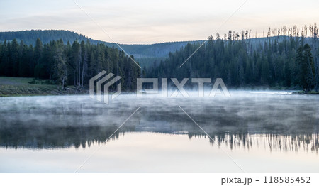 Hayden Valley Yellowstone national park 118585452