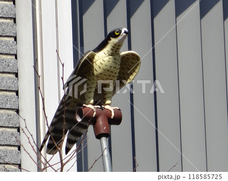 鳥よけ 鳥よけ 118585725