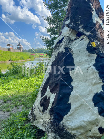 The open-air museum has a yaranga made from animal skins The open-air museum has a yaranga made from animal skins 118586436