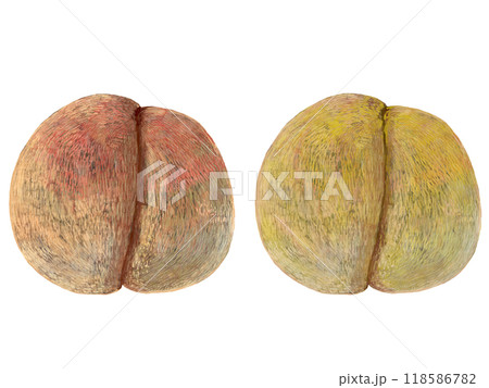 桃セット 118586782