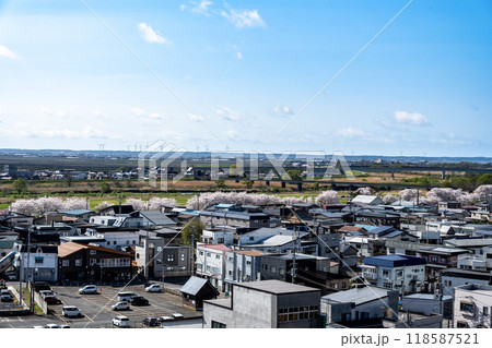 五所川原市街の眺望,桜並木/青森県 五所川原市街の眺望,桜並木/青森県 118587521