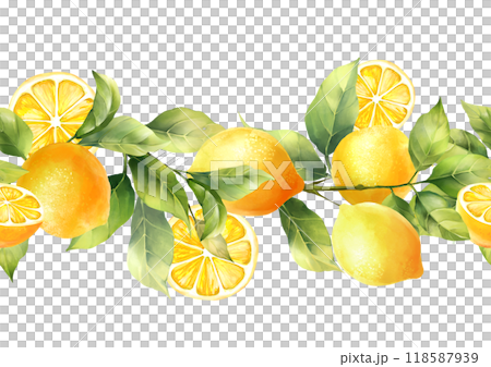 Hand-drawn pattern, seamless fruit border of lemons and leaves. 118587939