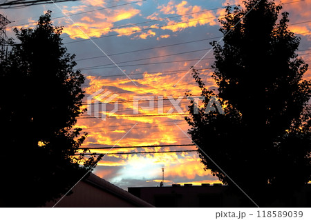 夕焼け雲 夕焼け雲 118589039