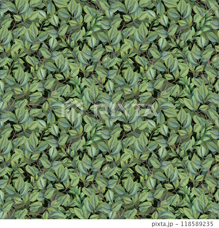 Green abstract leaves watercolor seamless pattern on black background. Summer forest intertwining lush foliage plants. Floral rustic illustration for package, textile. 118589235