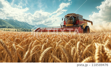 A combine harvester is efficiently working in a vast wheat field A combine harvester is efficiently working in a vast wheat field 118589476