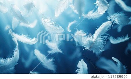 A beautiful bunch of white feathers is gently floating in the air A beautiful bunch of white feathers is gently floating in the air 118589993