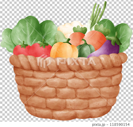 Vegetables in a wicker basket watercolor illustration 118590154