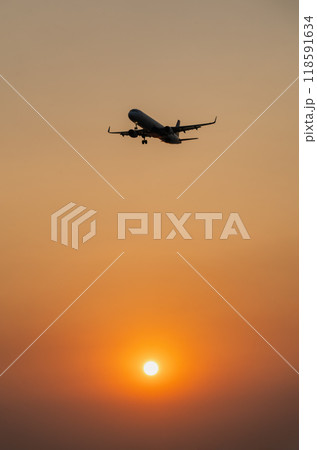 Passenger plane is landing on the background of the setting sun 118591634