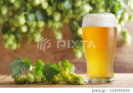 glass of beer and green hops on wooden table glass of beer and green hops on wooden table 118591820