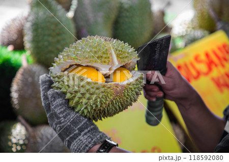male hands in gloves open ripe durian fruit with a knife 118592080