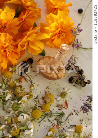 Chamomile flowers mushrooms and other herbs are dried on a white outdoor table. Orange flowers and white flowers are dried for brewing into tea. Useful natural ingredients in tea. Beautiful Chamomile flowers mushrooms and other herbs are dried on a white outdoor table. Orange flowers and white flowers are dried for brewing into tea. Useful natural ingredients in tea. Beautiful 118592425