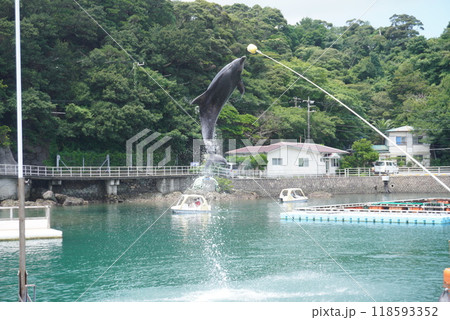 水族館のイルカ 118593352