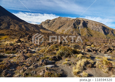 Volcanic Landscape, Tongariro 118594320
