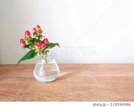 ガラスの花瓶に挿したピペリカム④ ガラスの花瓶に挿したピペリカム④ 118594566