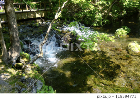 京極町の湧水 118594773