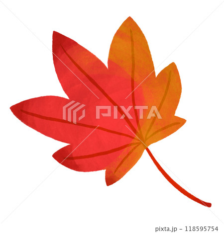 赤い紅葉 赤い紅葉 118595754