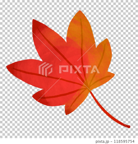 赤い紅葉 赤い紅葉 118595754