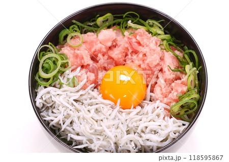 海鮮丼 しらす マグロのたたき ねぎ 玉子 明るい背景 海鮮丼 しらす マグロのたたき ねぎ 玉子 明るい背景 118595867
