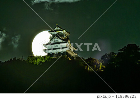 岐阜城と満月の競演 岐阜城と満月の競演 118596225