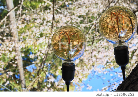 桜を照らす丸いストリングライトのハート 118596252