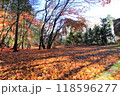 落ち葉 118596277