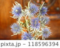 ドライフラワー 118596394