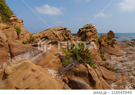 Coastal Rock Formations with Vegetation and Sea View Coastal Rock Formations with Vegetation and Sea View 118597049
